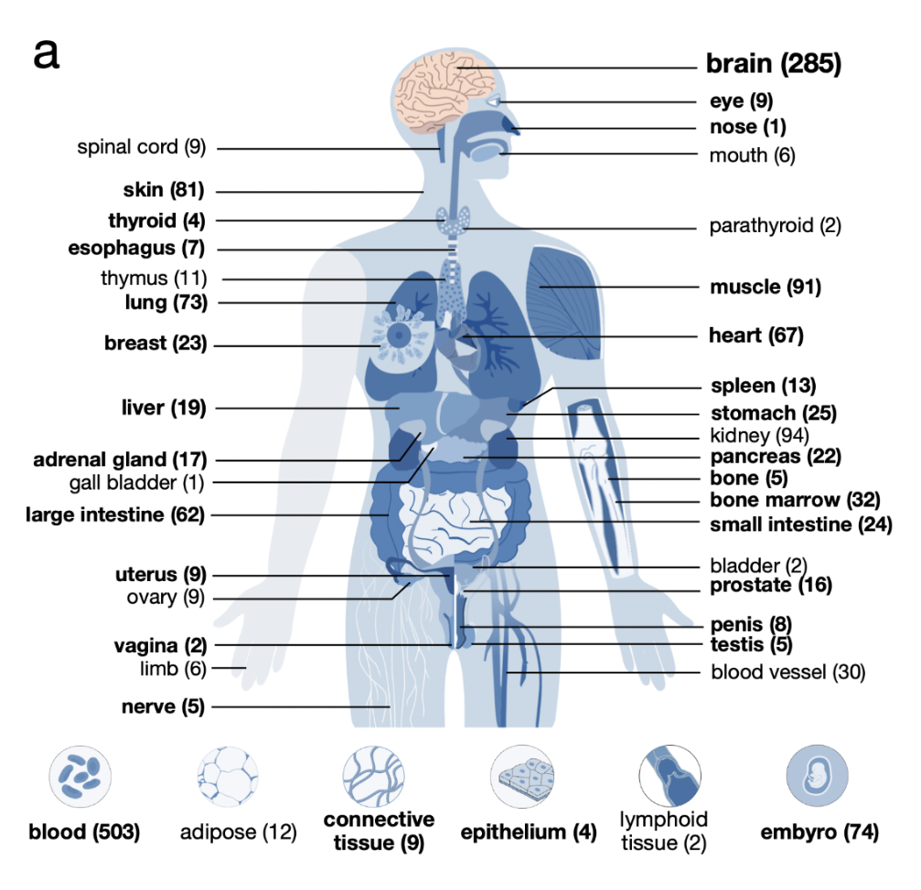 Biosample types visual diagram